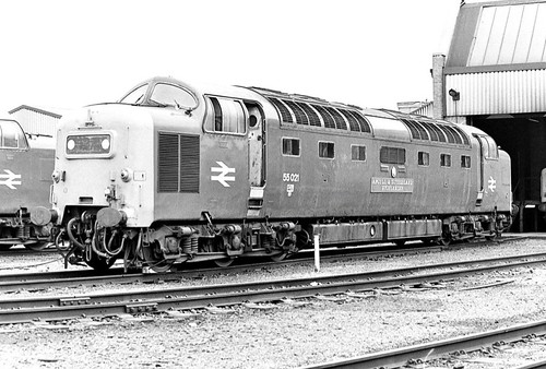 55021 British Rail, ’Argyll & Sutherland Highlander’. ‘English Electric’ built diesel electric locomotive. on Dennis Basford’s railsroadsrunways.blogspot.co.uk’