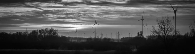 The wind farm between Woldendorp and Delfzijl
