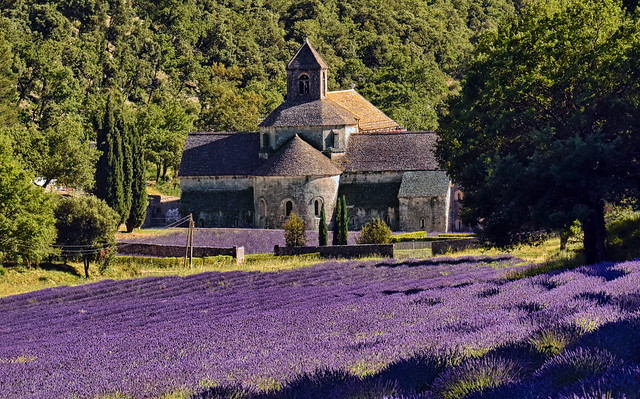 France - Provence - Abbaye Notre-Dame de Sénanque