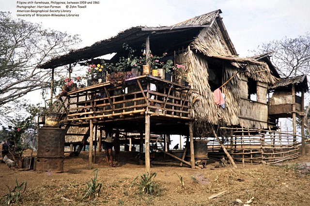 Filipino Nipa home with flowers, Philippines, between 1959 and 1961