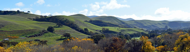 Rolling Hills with Fall Color - In Explore