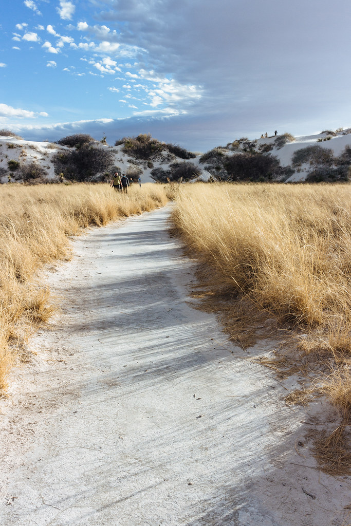 A white sandy trail cuts through tall pale yellow grass leading up to a white sands hill on a late afternoon