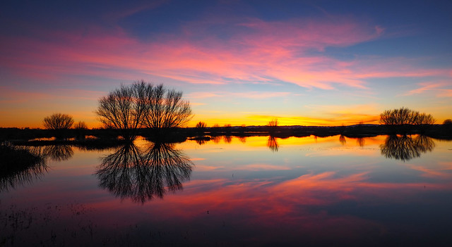 New Year's Day sunset, Butte Sink Wildlife Area, Sacramento Valley, California