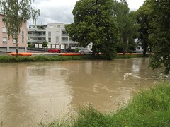 2015 Hochwasser Alter Rhein