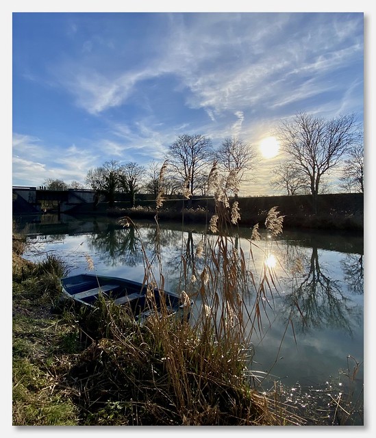 Au bord de la Loire… début d’année lumineux