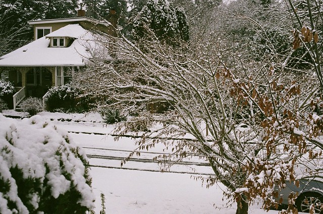 Snow around the house, 28 Dec 2021