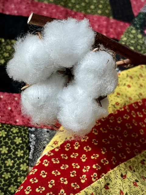 All kinds of cotton 2