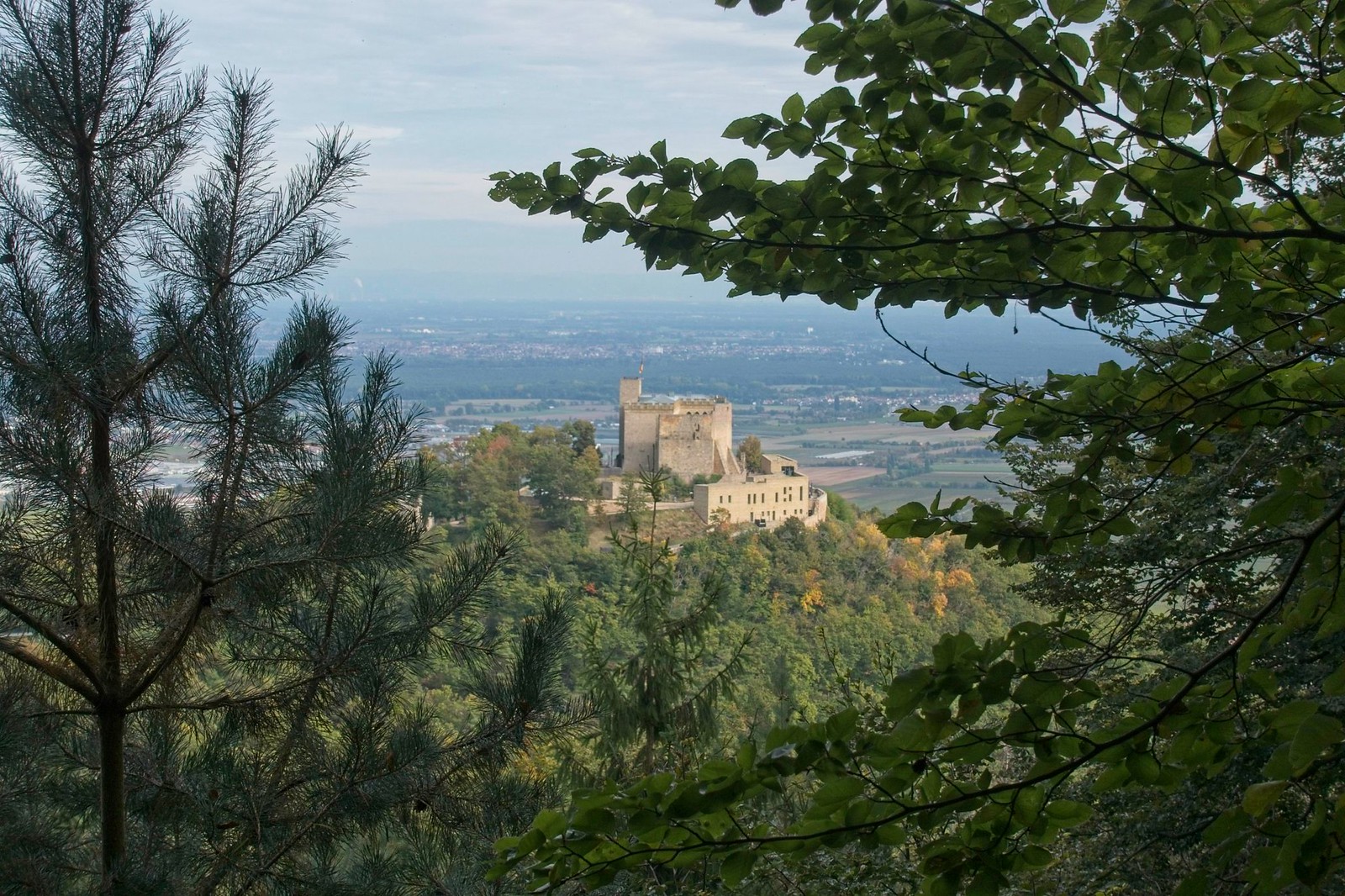 Blick aufs Hambacher Schloss vom Pfälzer Weinsteig - 8. Bloggerwandern Rheinland-Pfalz