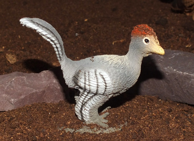 Anchiornis (†Anchiornis huxleyi) PNSO replica