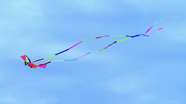 Freedom ~ Go Fly a Kite ~ Santa Rosa Beach