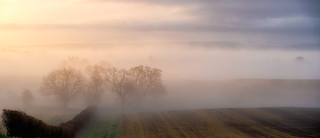 Misty Winter Dawn