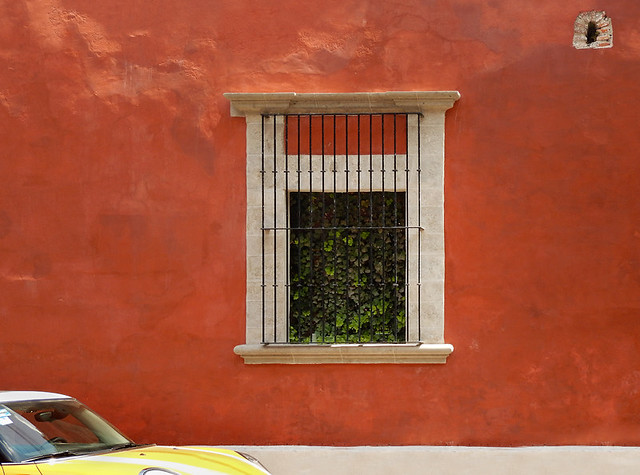 Barred window keeping the vegetation in, San Angel, a neighbourhood in Mexico City