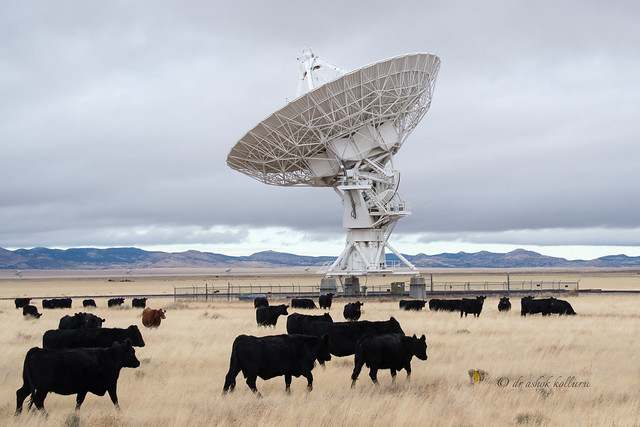 Very Large Array dish 2