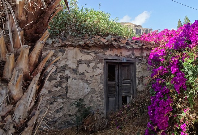 Abandoned and dilapidated, but brightened up by Bougainvillea