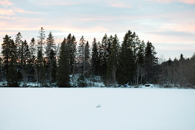 lake and trees in winter