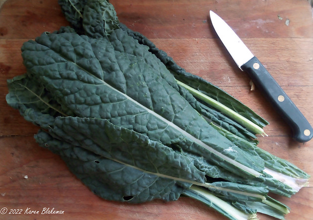 2 January 2022 Kale from the garden for today's lunch
