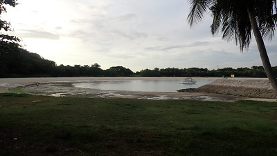 Living shores of Seringat-Kias lagoon, Jan 2022