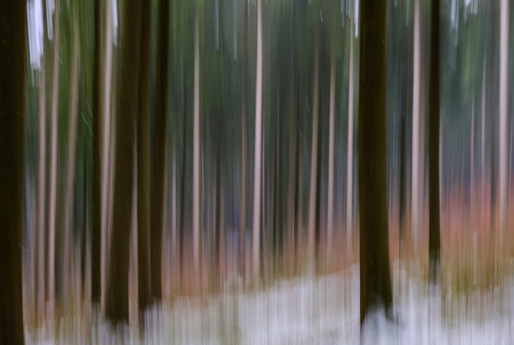 Winterwald, abstrakt | Werner Schnell | Flickr