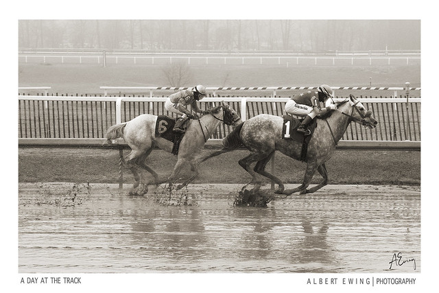 Photo © Albert Ewing-Two Muddy Horses-2-Horse Racing_FB_ALE3446