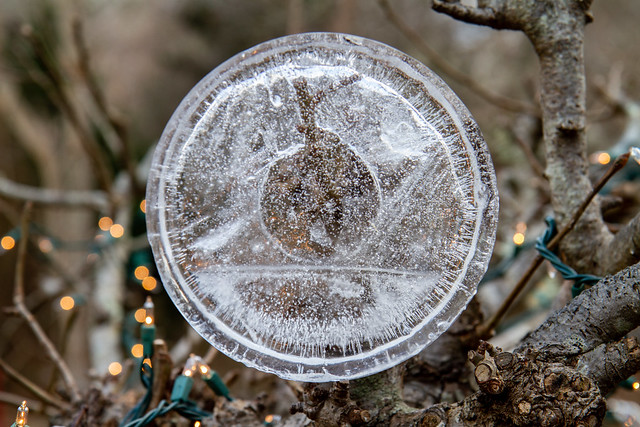 Holiday Ice Disk