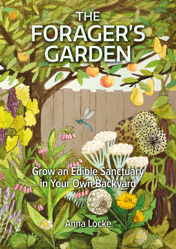 Book cover - The Foragers Garden