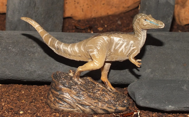 Qianzhousaurus (†Qianzhousaurus sinensis) PNSO replica