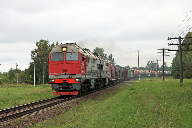 Тепловоз 2ТЭ116У-0269 с грузовым составом на перегоне Городок/Залучье.