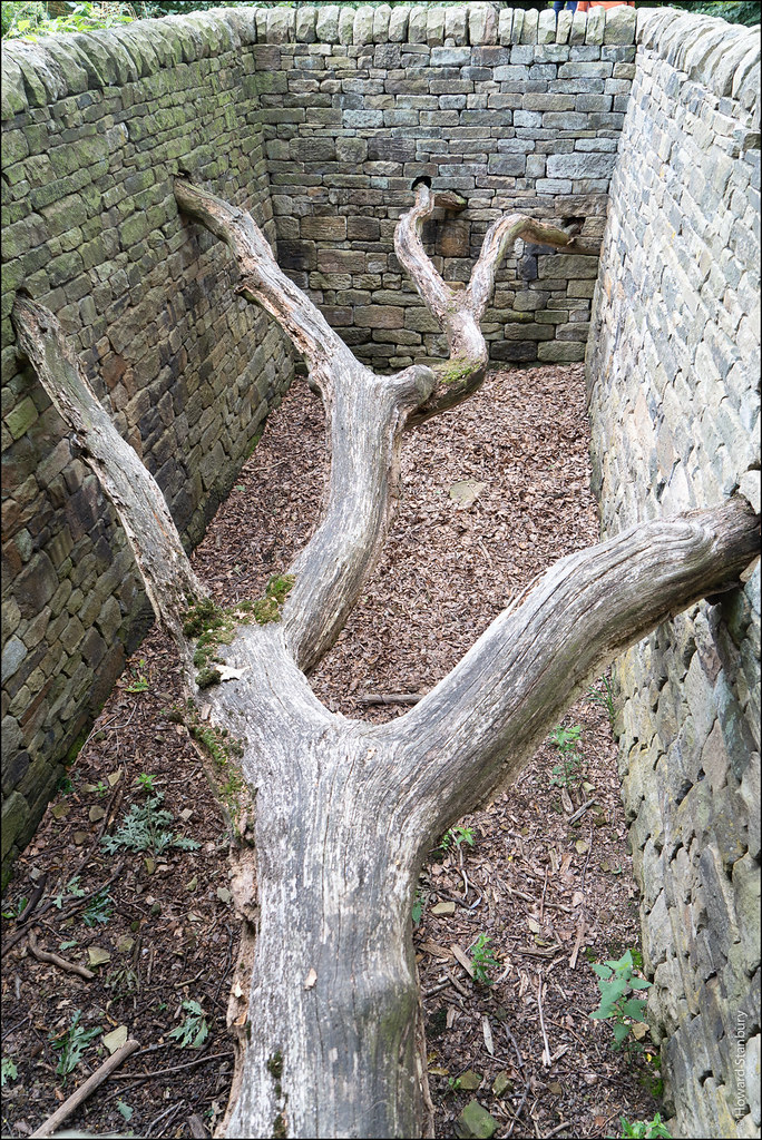 Andy Goldsworthy | Hanging Trees