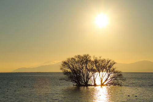 Lake Biwa by Teruhide Tomori, Located : Enshoji, Kohoku-cho, Nagahama, Shiga pref.
奥琵琶湖 / 滋賀県長浜市湖北町延勝寺lakebiwa shiga sunset 日没 夕日