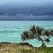 Shade from Straddie from a wet and stormy New Years break. Luckily there has been some swell through it all. The place never disappoints. #straddieis #pandanas #stormy #moody #rain #colours #naturelovers #landscapephotography #layers #redlandanyday