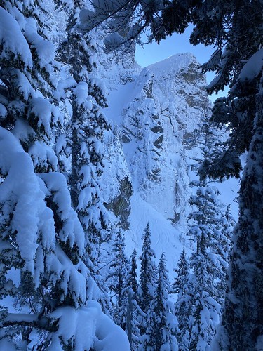 Slot Couloir with lots of tracks