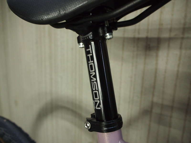 SURLY Midnight Special Lilac POst