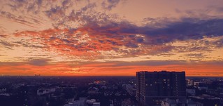 Dawn in Houston