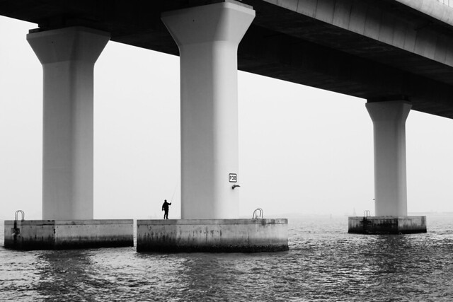 Fishing under the Bridge - Dec 2021 - 2