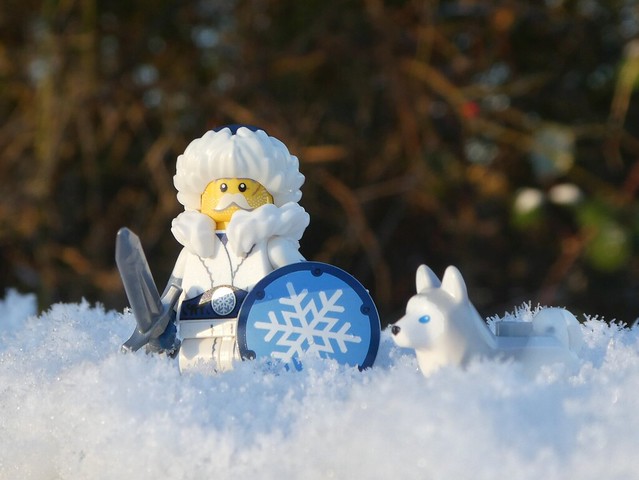 Winter Warrior
