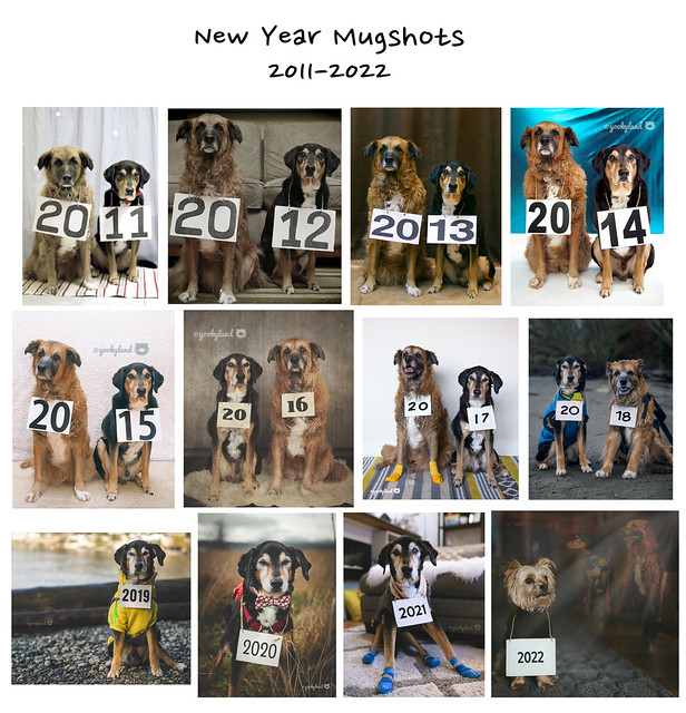 New Year Mugshots 2011 - 2022