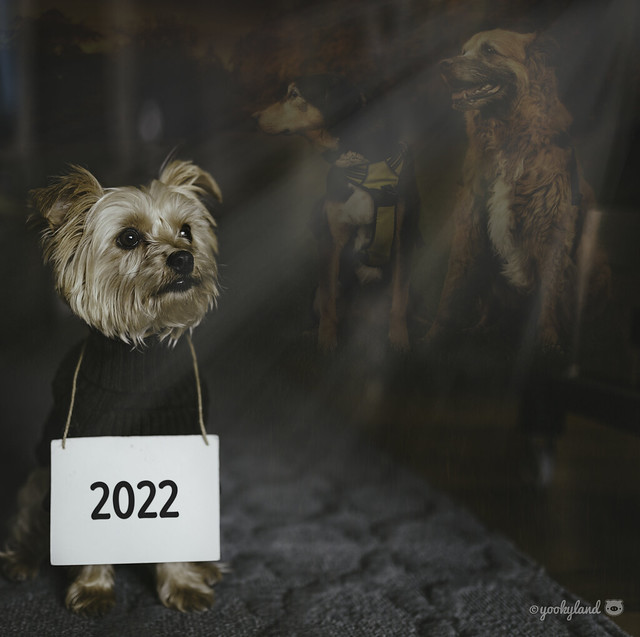 1/12A Alyeska - Hello, 2022
