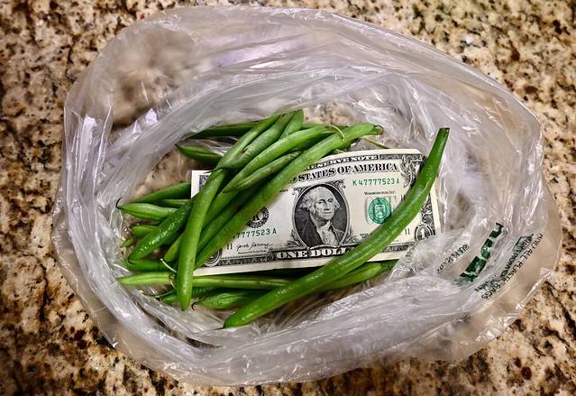 Green Beans and a Greenback in a Plastic Bag