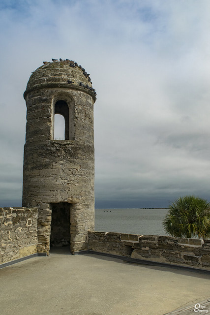 DSC_8367 ~ High Watch Tower, Castillo de San Marcos