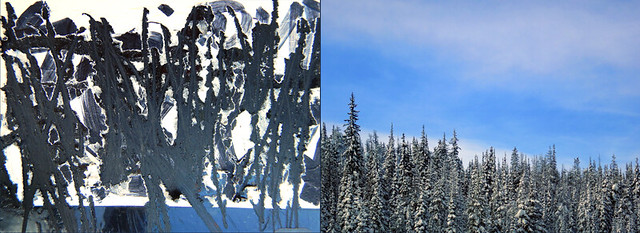 Abstract diptych of torn and scratched poster combined with snowy trees under a blue sky day