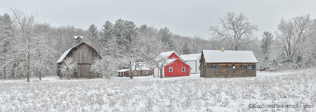 Bufka Farm ... winter III