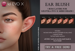 Ear Blush (LeLutka Evo X) for FLF