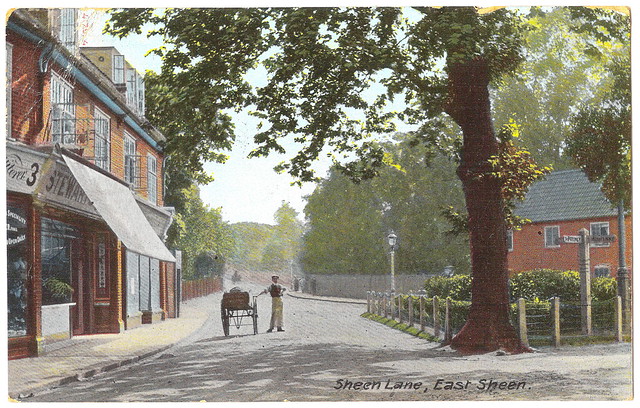 East Sheen - Sheen Lane Prior to 1908. And Sir Trevor McDonald.
