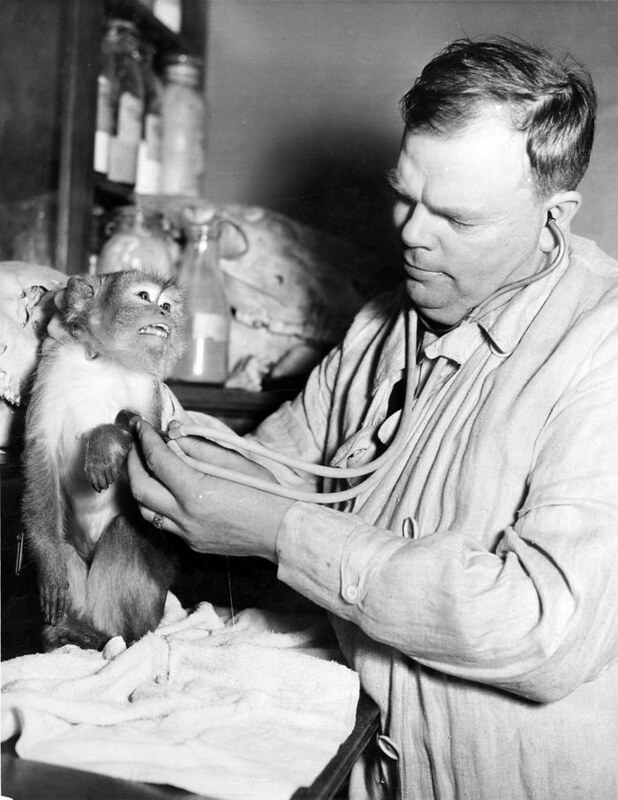Woodland Park Zoo Director Gus Knudson with monkey, circa 1920