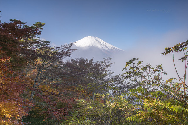富士と紅葉 Fuji and autumn leaves