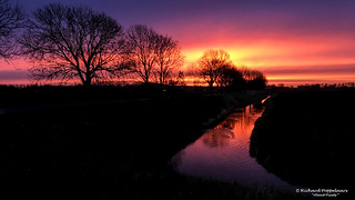 Early polder sunrise (Zwartewaal/NL)
