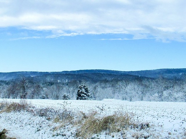 Wintery mixed with blue mountains and sky.