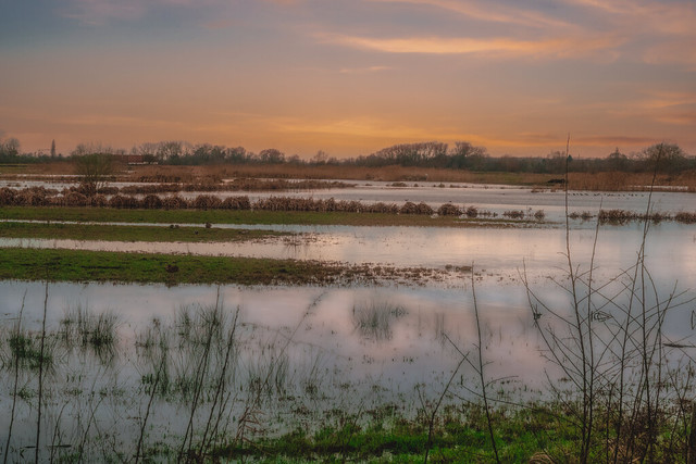 Flooded wetlands
