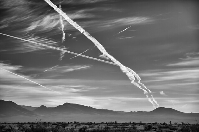 Early Morning Contrails
