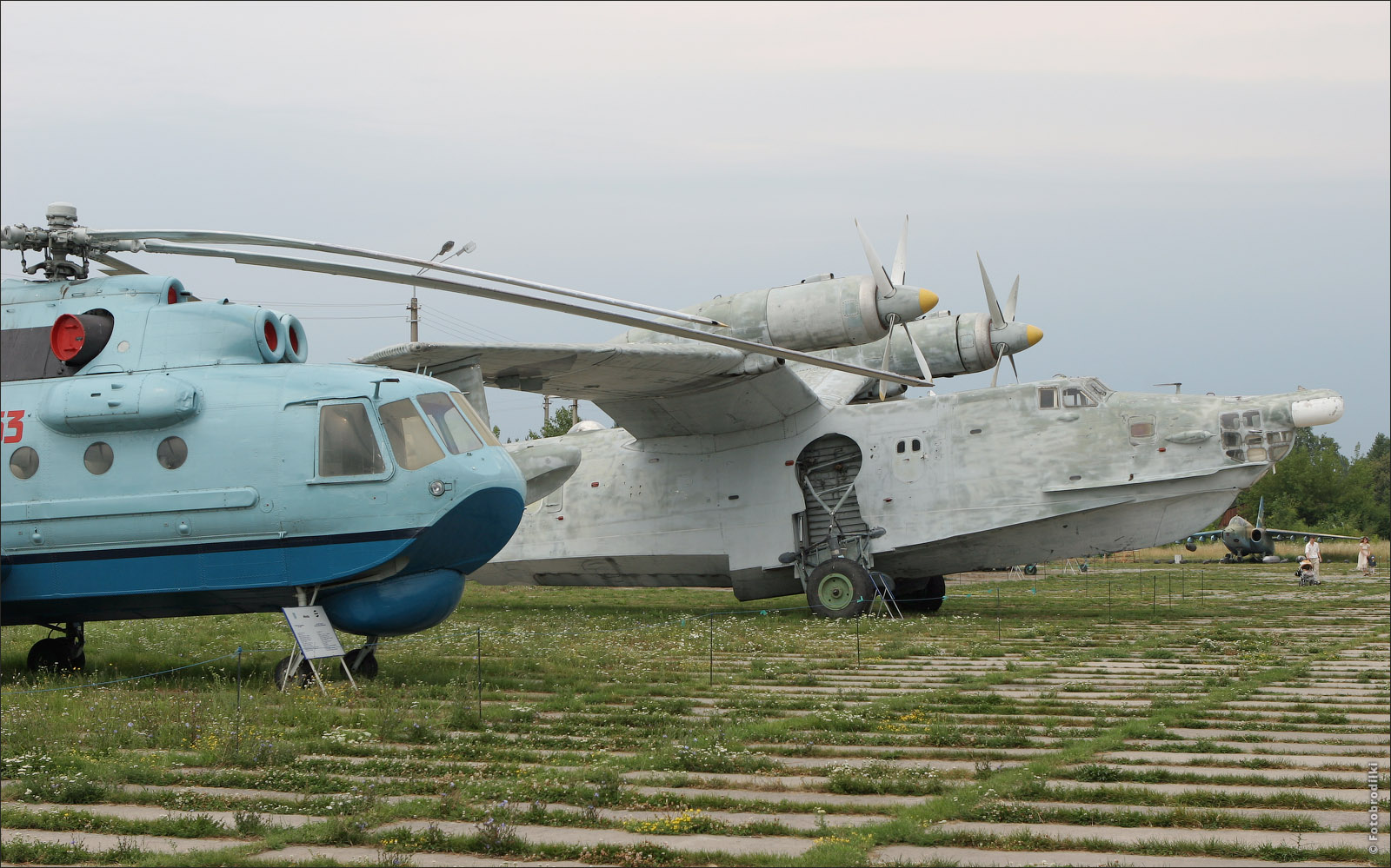 Бе-12 Чайка, Музей авиации, Киев, Украина